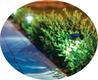 Small Solar Garden Light, Lanterns In Flower Bed. Garden Design. Solar Powered Lamp